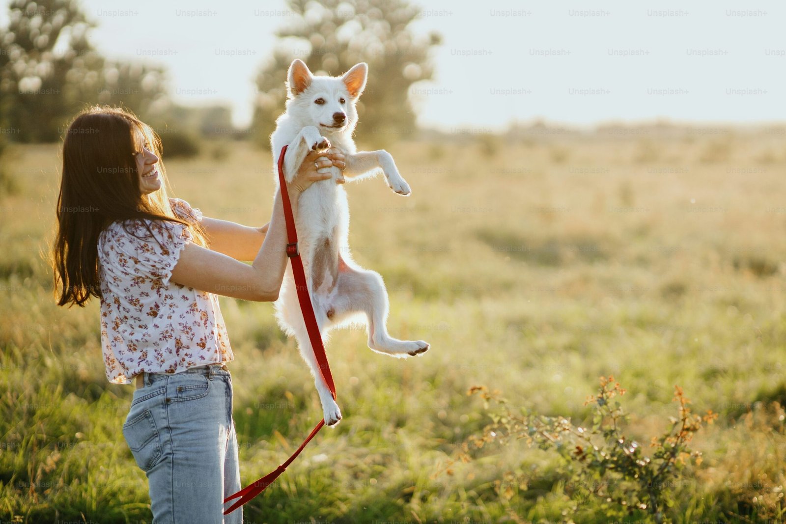 7 reasons pets are good for your health